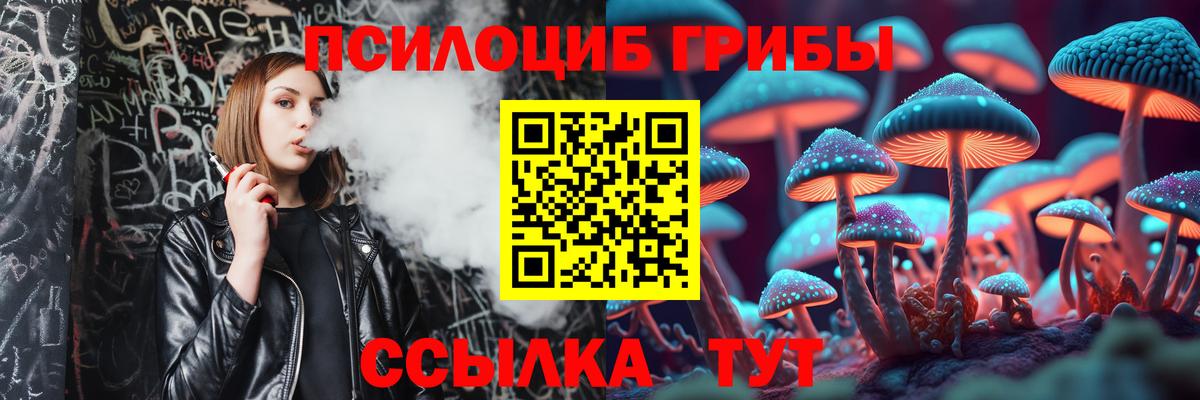 Цена  Марихуана  Alpha PVP СК   Чистополь  ГАШ  Вход с VPN  Кокаин  Меф МЯУ МЯУ кристаллы  Метамфетамин 